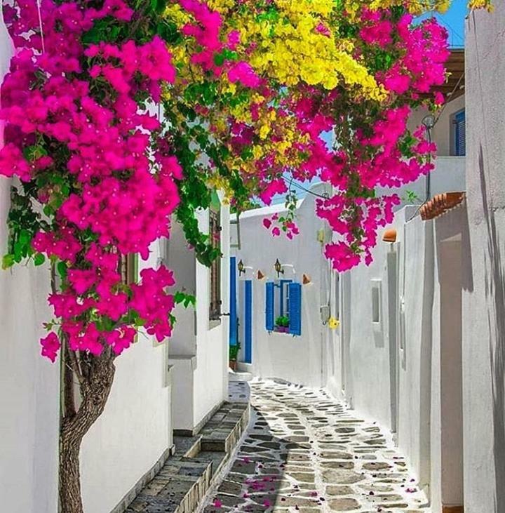 Апартаменти Melina'S House Mykonos Town Екстер'єр фото